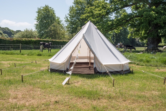 Just the Tent